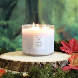 Bougie 3 mèches Wild Fig & Cedarwood - Woodbridge