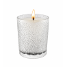 Bougies 190g Cedre Majestueux (Ciel d'hivers) - e-bougie
