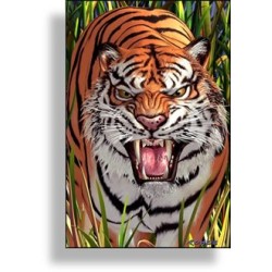 Puzzle Tigre Effet 3D - 60...