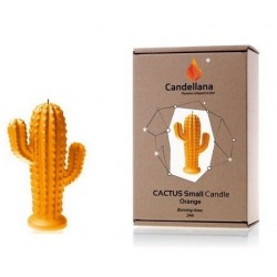 Bougie Cactus Orange Candellana