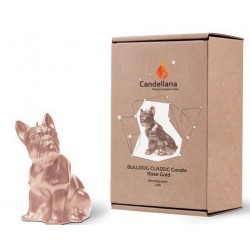 Bougie Bulldog Rose Gold Candellana