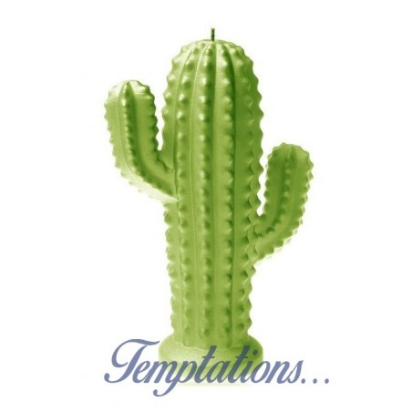 Bougie Cactus Vert lime Candellana