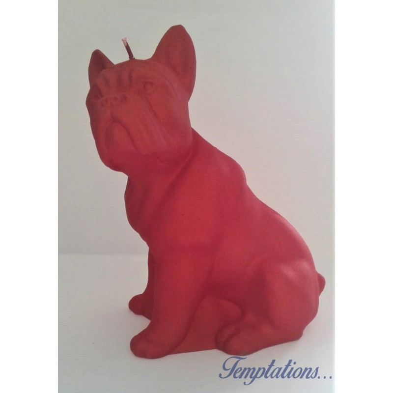 Bougie Bulldog Rouge  Candellana