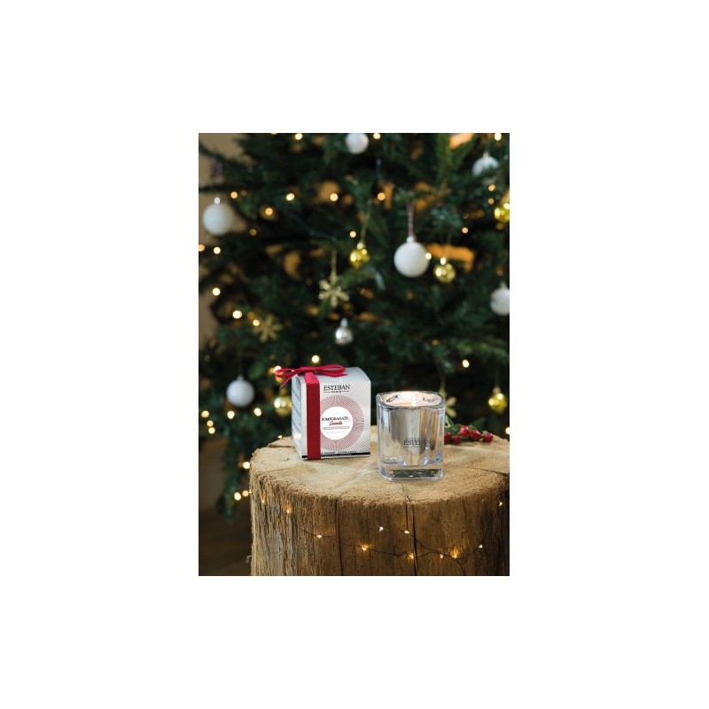Bougie parfumée Elessens Estéban Pomegranate & Cannelle