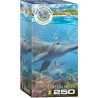 Puzzle 250 pièces Dauphins - Eurographics